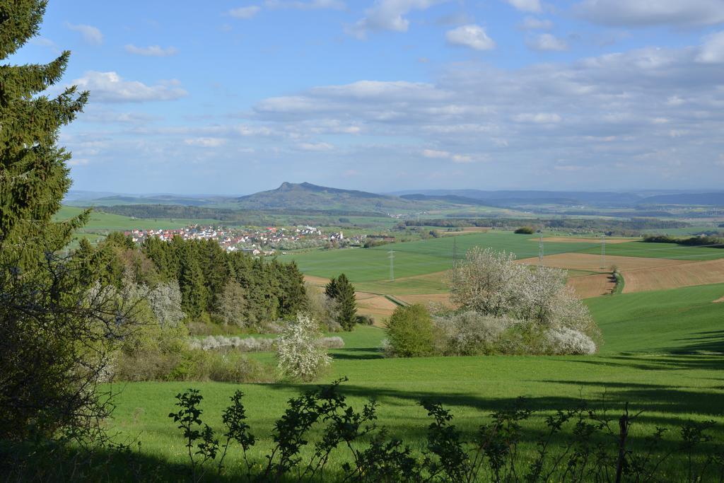 Landhaus Waldfrieden 텐겐 외부 사진