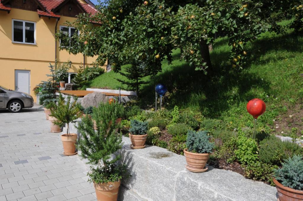 Landhaus Waldfrieden 텐겐 외부 사진